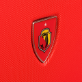 WINGS-JAGIELLONIA-RED-DETAL-LOGO.png