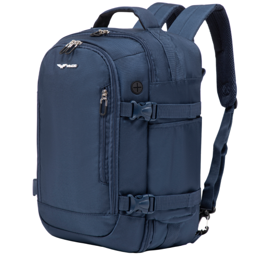 BLUE-SKOS.png