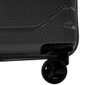crake_black8.jpg